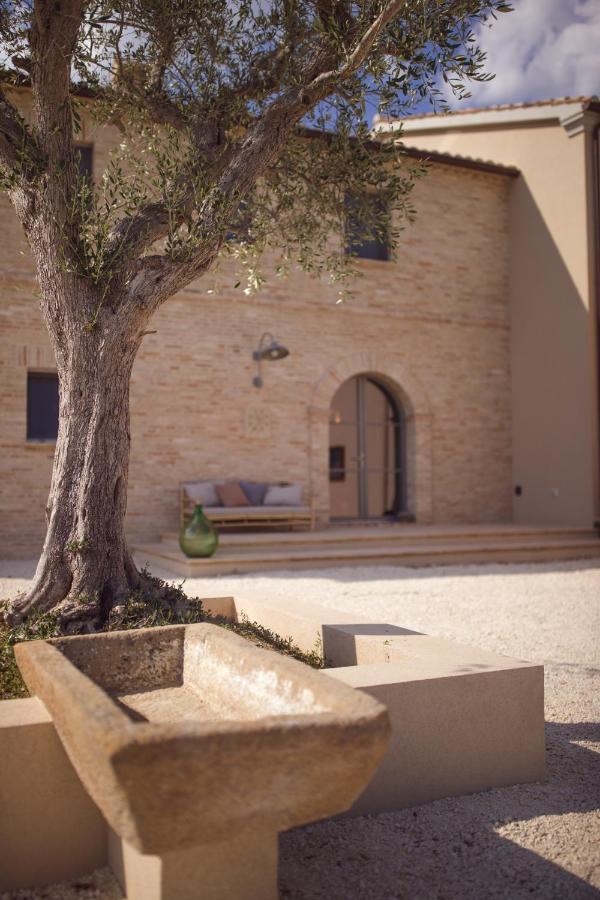 Casale Tre Gelsi Bed and Breakfast Cingoli Eksteriør billede